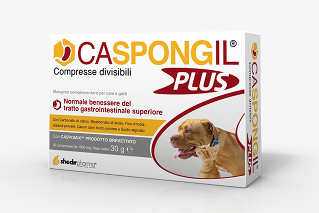 Caspongil Plus cpr div