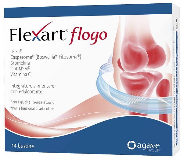 Flexart Flogo 14 Bust